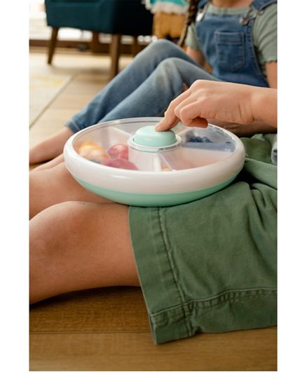 meal spinner plate